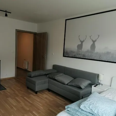 Apartment Brand New #71 With Free Secure Parking In The Center *