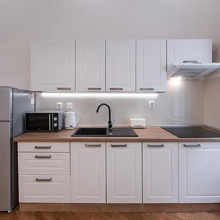 Apartment Dlazdena Prague