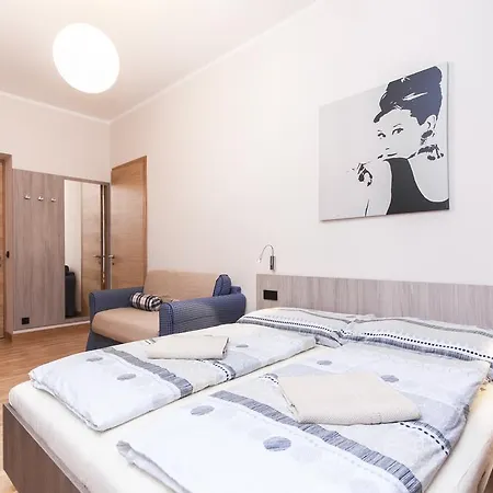 Apartment Manesova Astra *