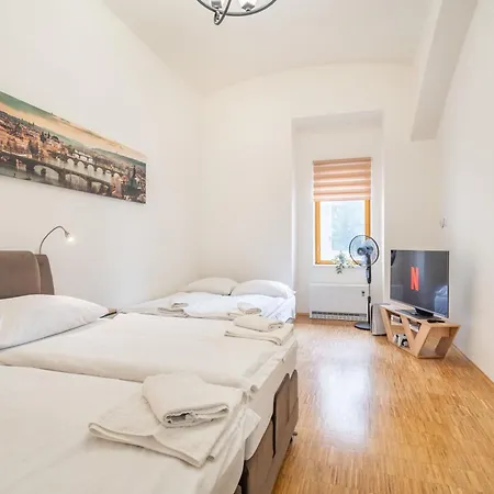 Apartment Dlazdena Prague