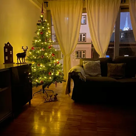 Spacious Near Center With Balcony And Garage Parking Apartmán *
