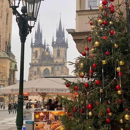 High-class Rooftop Apt. With Spacious Terrace * Prague