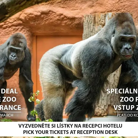 Hotel U Divadla 4*
