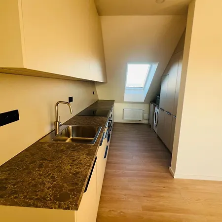 New Sunny Rooftop With A Terrace 10-15 Minutes Drive From Centre * Prag