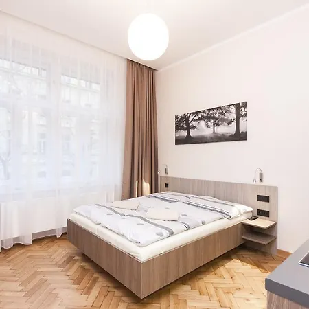 Apartment Manesova Astra