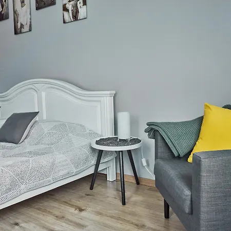 Stylish In Heart Of Zizkov Near Iconic Sites Apartment
