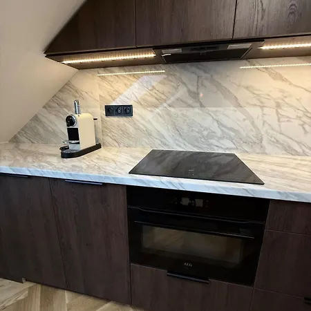 Luxury New With Balcony Steps From Wenceslas Square Daire