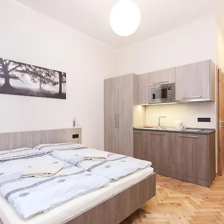 Apartment Manesova Astra Prague