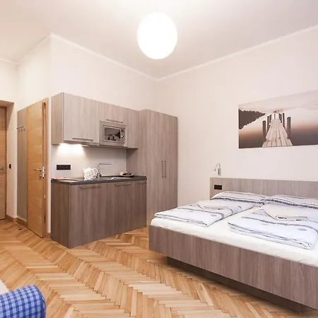 Apartment Manesova Astra