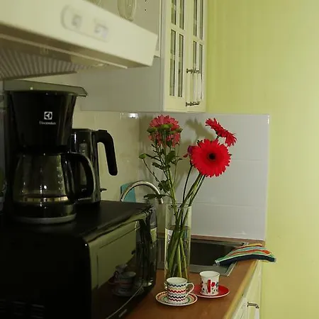 Apartment Vinohrady Ii