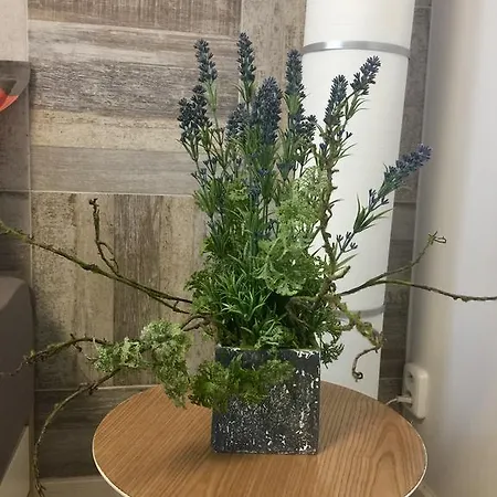 Matilda Apartamento
