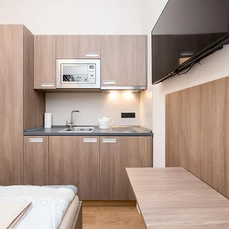 Apartment Manesova Astra *
