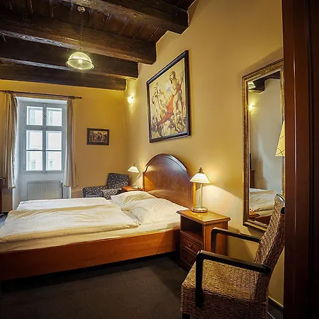 Hotel U Tri Bubnu Prag