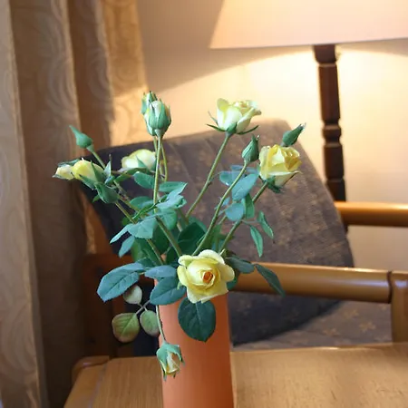 Hotel Ea Jasmin