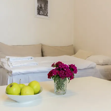 Apartman On Wenceslassquare For 6