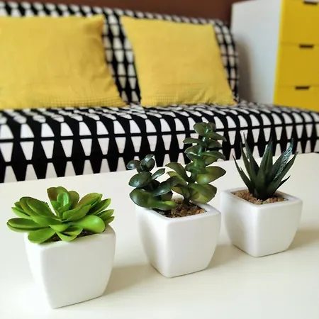 Apartment Blanicka 9 *