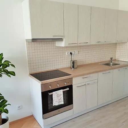 Apartment Blanicka 9