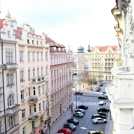 Flowers Praga