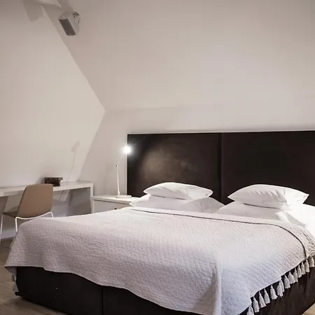 Eclectic Loft With Terrace Praag