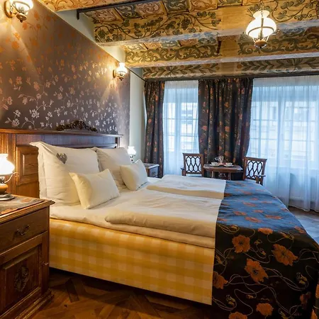 Hotel U Cerneho Orla Prague