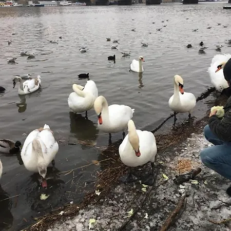 Vltava Апартаменты *