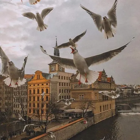 Lena * Prague