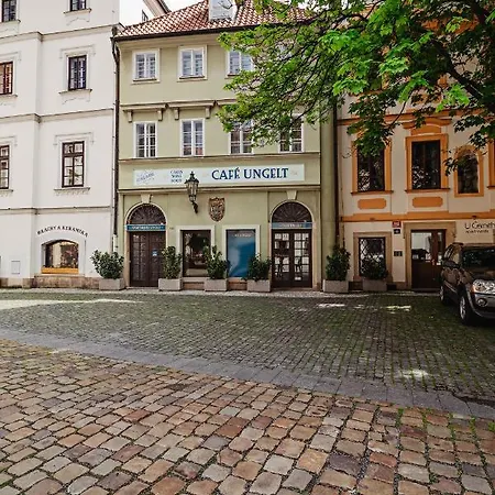 Apartment U Cerneho Medveda- At The Black Bear