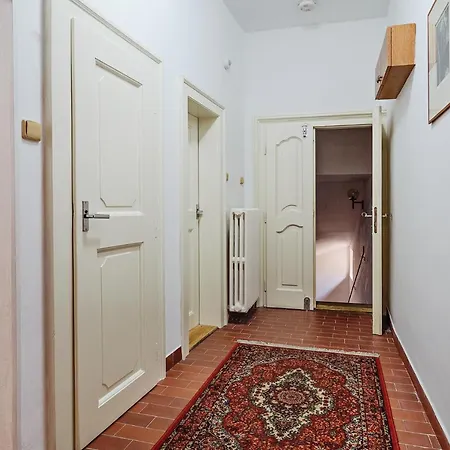 U Cerneho Medveda- At The Black Bear Apartment Prague