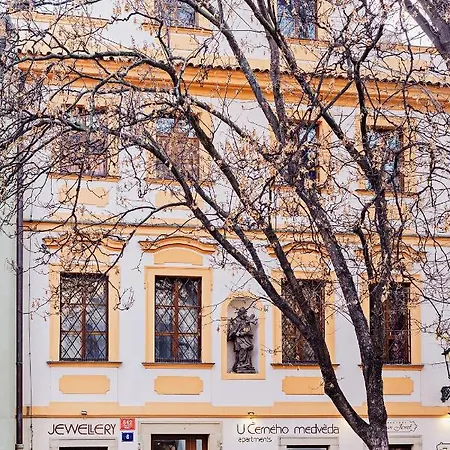 U Cerneho Medveda- At The Black Bear * Prague