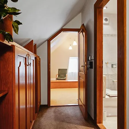 U Cerneho Medveda- At The Black Bear Apartment Prague
