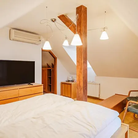 Apartment U Cerneho Medveda- At The Black Bear