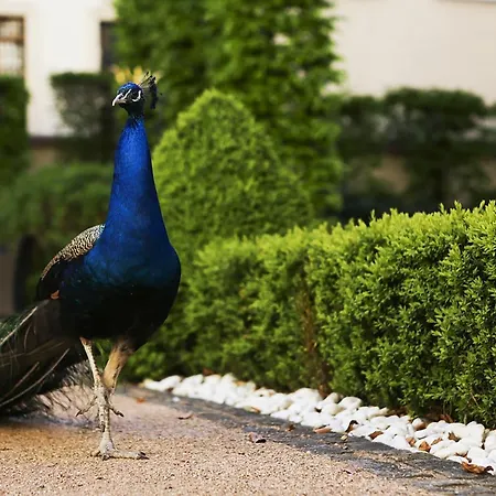 The Grand - The Leading Of The World Hotel
