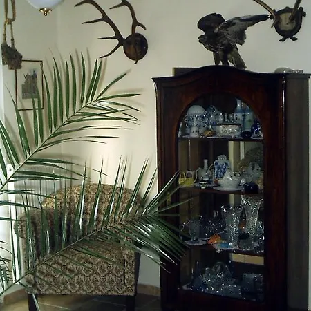 Guest house Olivia 3*