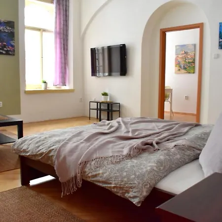 Andy'S Central 3-Bedroom Apartment ! Praha