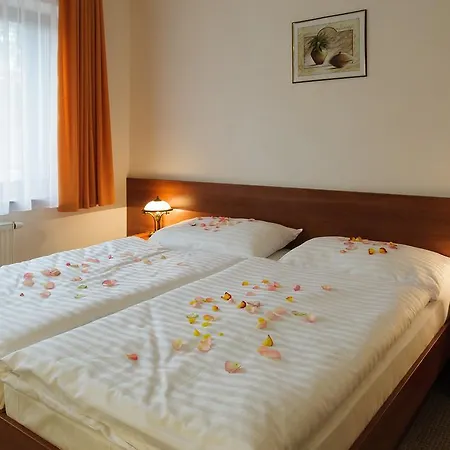 Hotel Alexis Prague