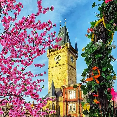 Апартаменты Vltava