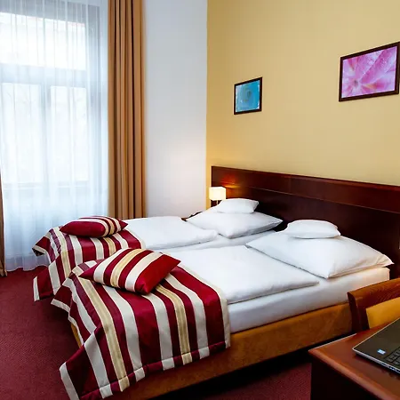 Hotel Petr 3*