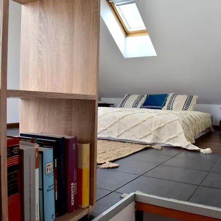 Lux Duplex Rooftop Loft With An Amazing Terrace & Cinema * Prag