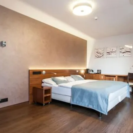 Hotel Carol 4*