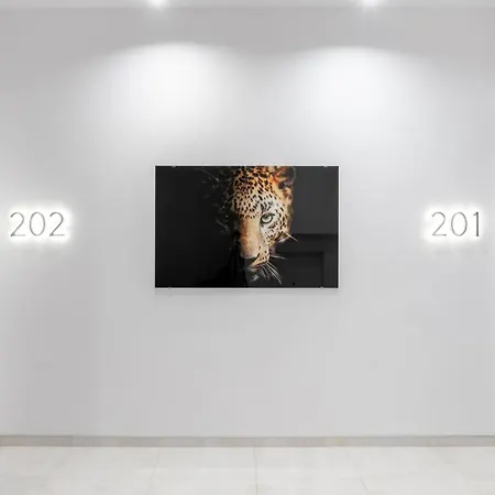 Port Karolina Luxury Apartment