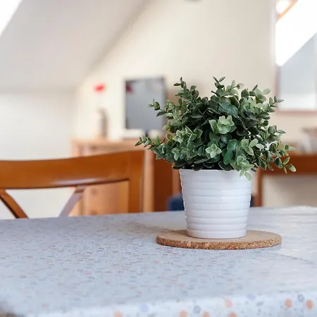 Aparthotel Sibelius 3*