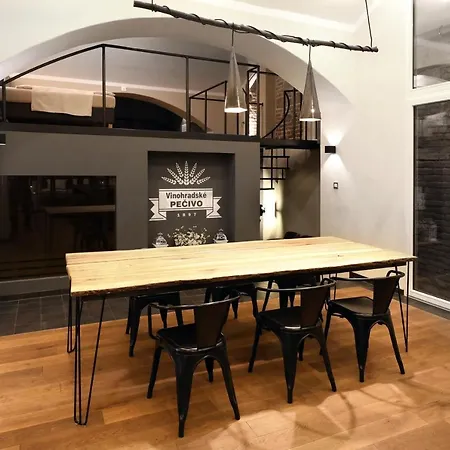 Apartment Design Loft 2 Minutes To Wenceslas Square