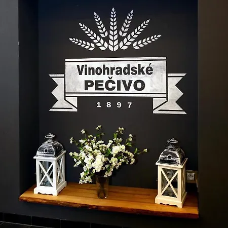 Design Loft 2 Minutes To Wenceslas Square Apartment