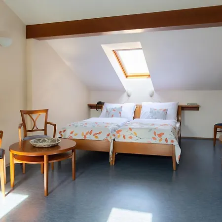 Sibelius Aparthotel 3*