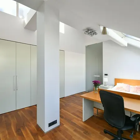 Luxury Penthouse With Sauna, Terrace, 250m2, 5bdrm, 3bthrm Prague