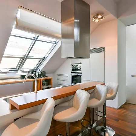 Luxury Penthouse With Sauna, Terrace, 250m2, 5bdrm, 3bthrm Apartment Prague