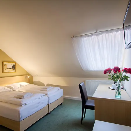 トーラス 4*