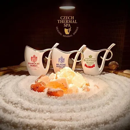 Grand Relax & Wellness & Beer & Thermal In Meteor Plaza - Since 1307 Hotel 4*
