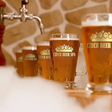 Hotel Grand Relax & Wellness & Beer & Thermal In Meteor Plaza - Since 1307