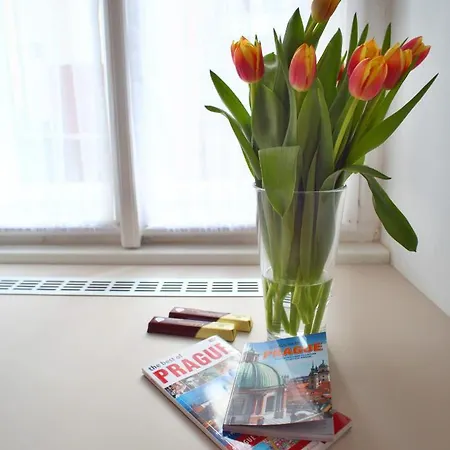 Apartamento Lovely Lila